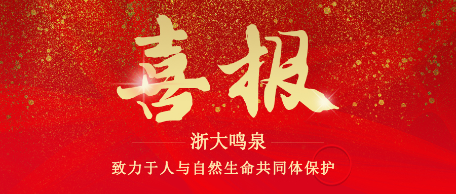 浙大半岛网页版_半岛（中国）顺利通过安全生产标准化三级企业验收复审